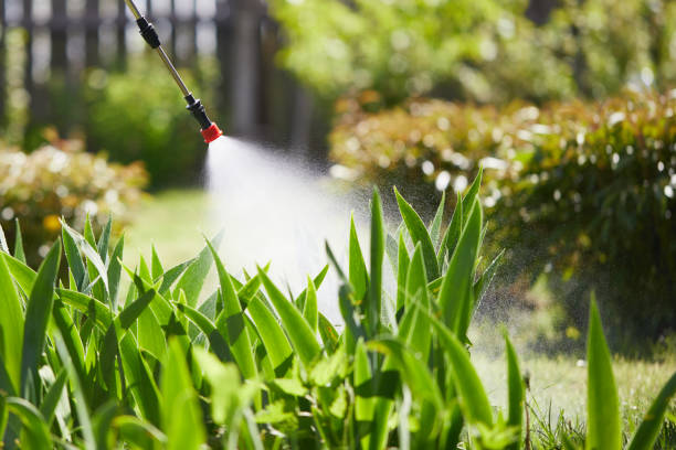 24/7 Emergency Wasp Removal experts in Gatlinburg, TN