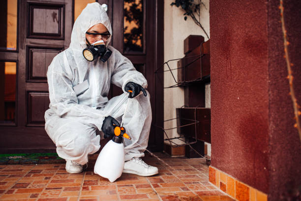 Reliable Wasp Removal contractor in Gatlinburg, TN by Show Me Pest Control